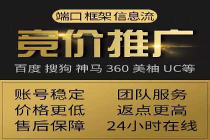 案例解读：网络推广与竞价策略